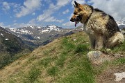 44 In vetta al Monte Gardena ( 2117 m)